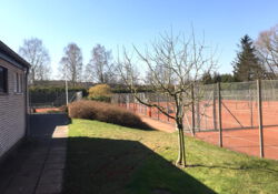 Tennisanlage